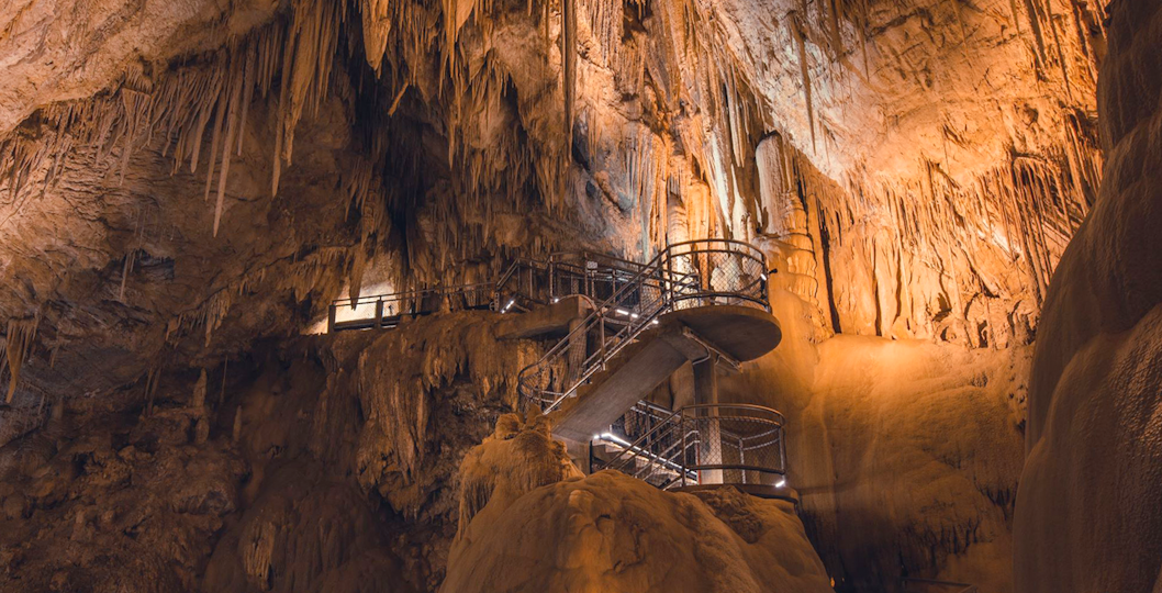 Hastings Cave Tours