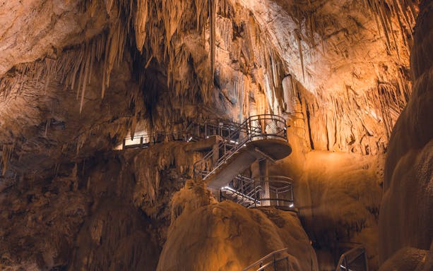 Walkway inside Hastings Cave, Tasmania, showcasing stalactites and rock formations.