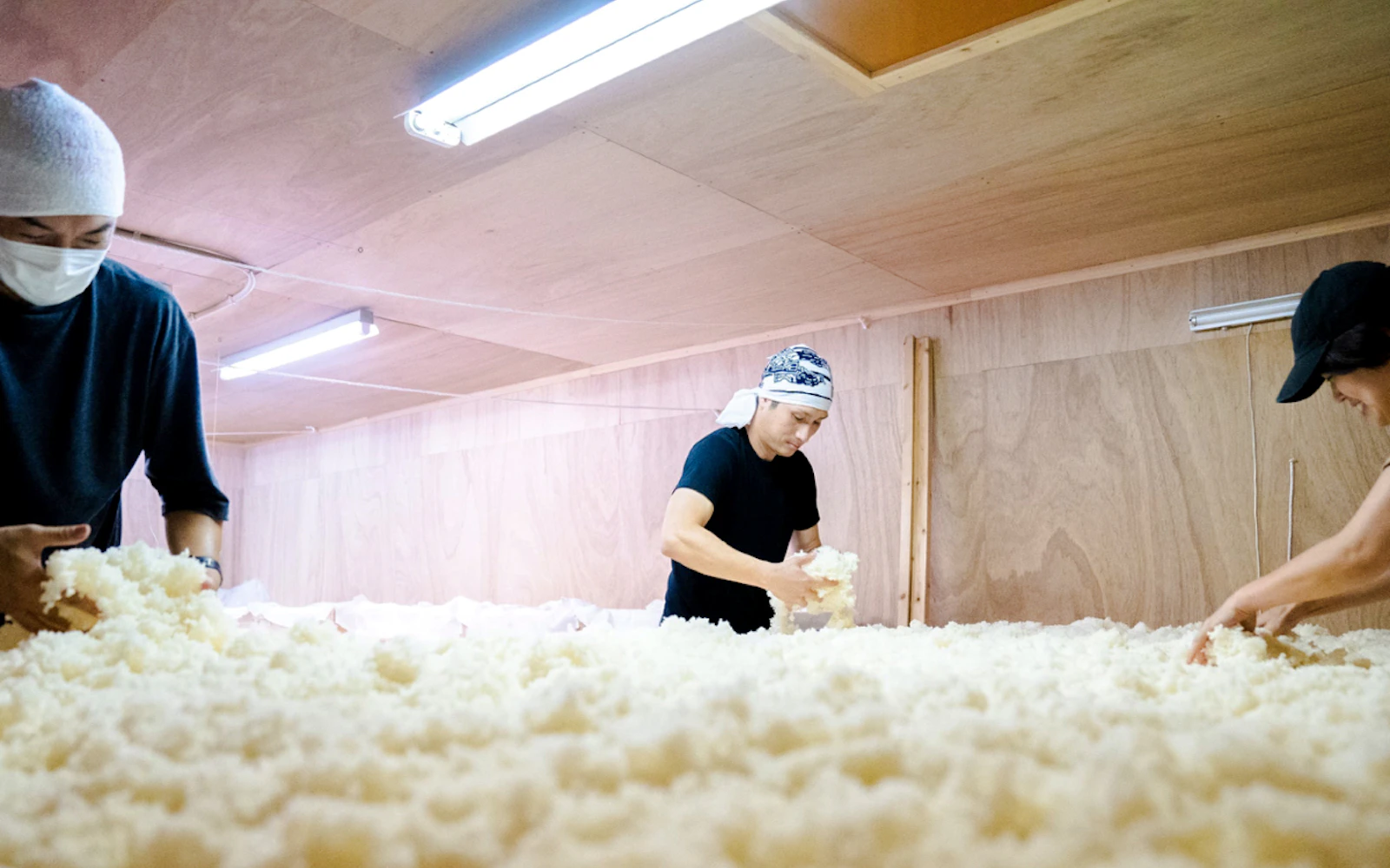 Kurume: Yamanokotobuki Sake Brewery Guided Tour with Tasting Image 3