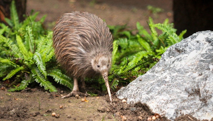 West Coast Wildlife Centre