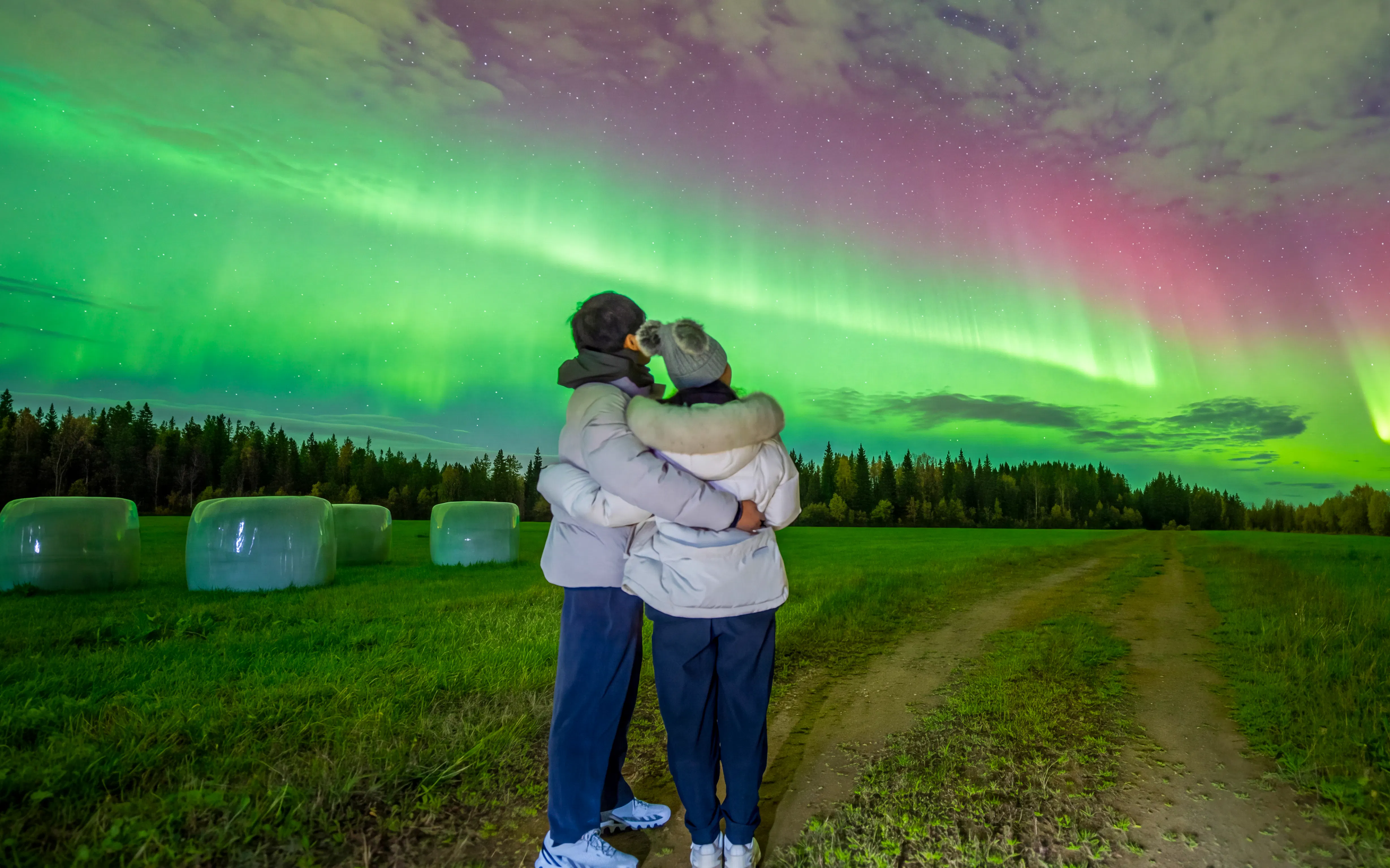 Guests watching Northern Lights on a photography tour in a field.