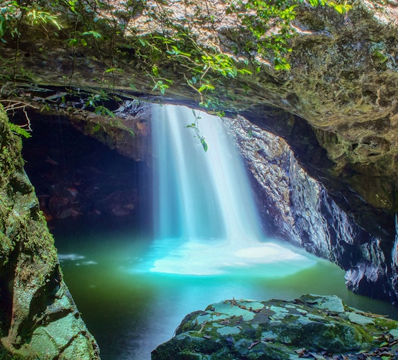 Waterfall cascading into a cave pool at Springbrook National Park.