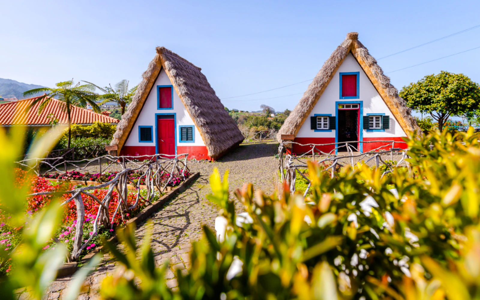 Madeira City Pass: 50+ Attractions & Experiences, 1-5 Days