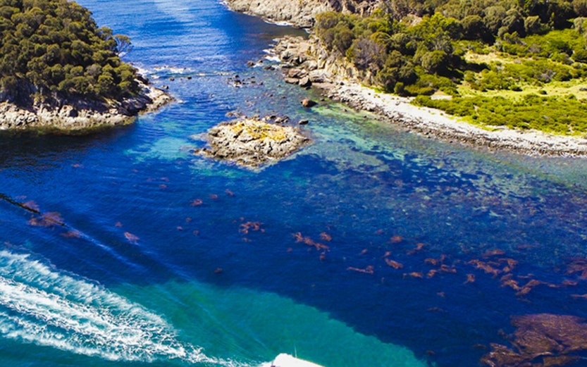 Boat navigating through the clear waters of Bruny Island coastline.