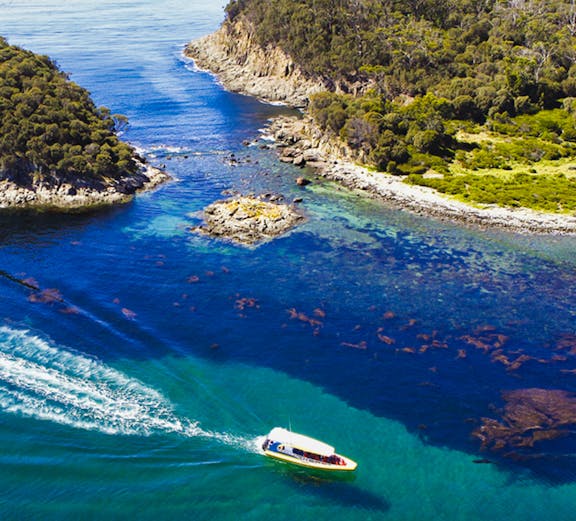Boat navigating through the clear waters of Bruny Island coastline.