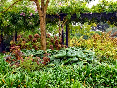 Rainbow bridge as seen from Daiba park