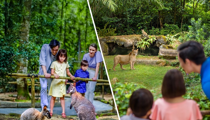 Mandai Wildlife Reserve - Singapore Night Safari