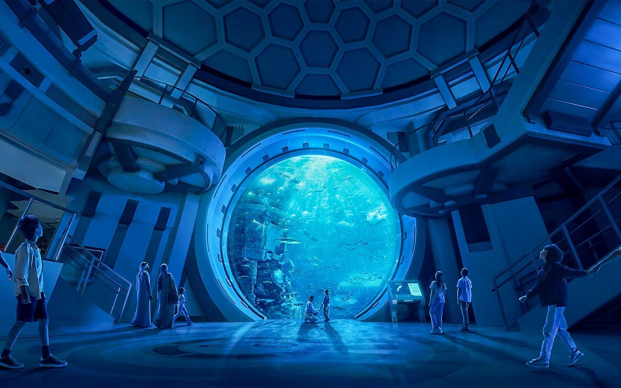 Visitors observing marine life through a large aquarium window at SeaWorld Abu Dhabi.
