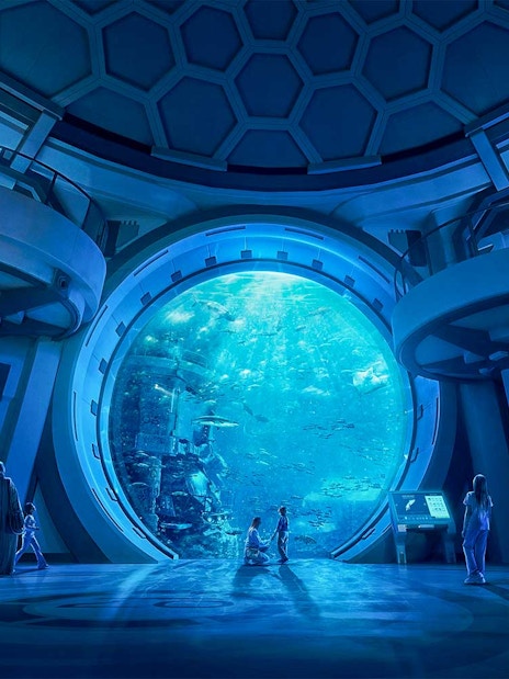 Visitors observing marine life through a large aquarium window at SeaWorld Abu Dhabi.