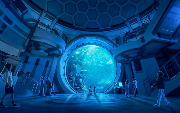 Visitors observing marine life through a large aquarium window at SeaWorld Abu Dhabi.
