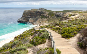 Wooden path leading to Cape of Good Hope cliffs, Cape Town, South Africa.