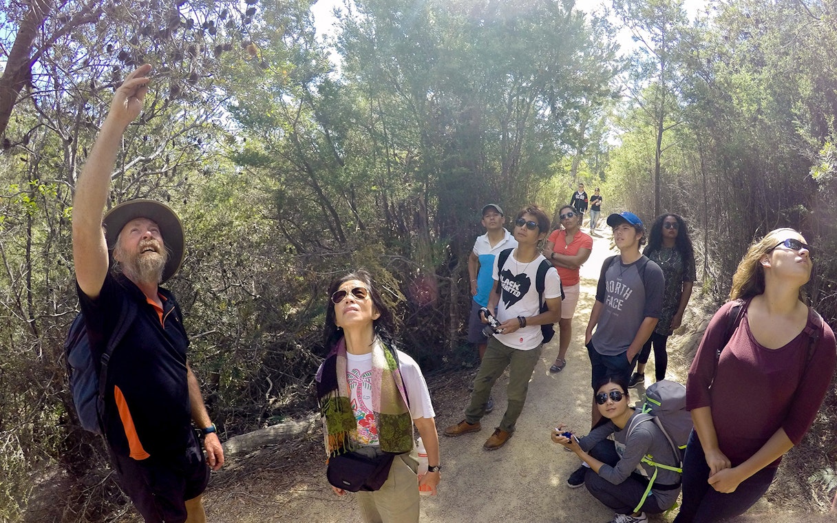 Group exploring forest trail on Wineglass Bay Explorer tour.