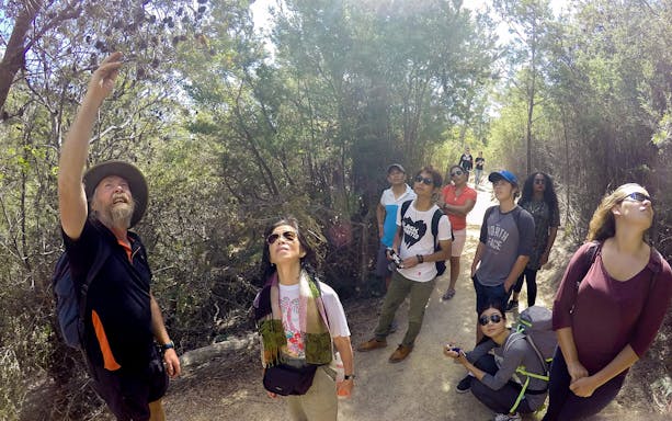 Group exploring forest trail on Wineglass Bay Explorer tour.