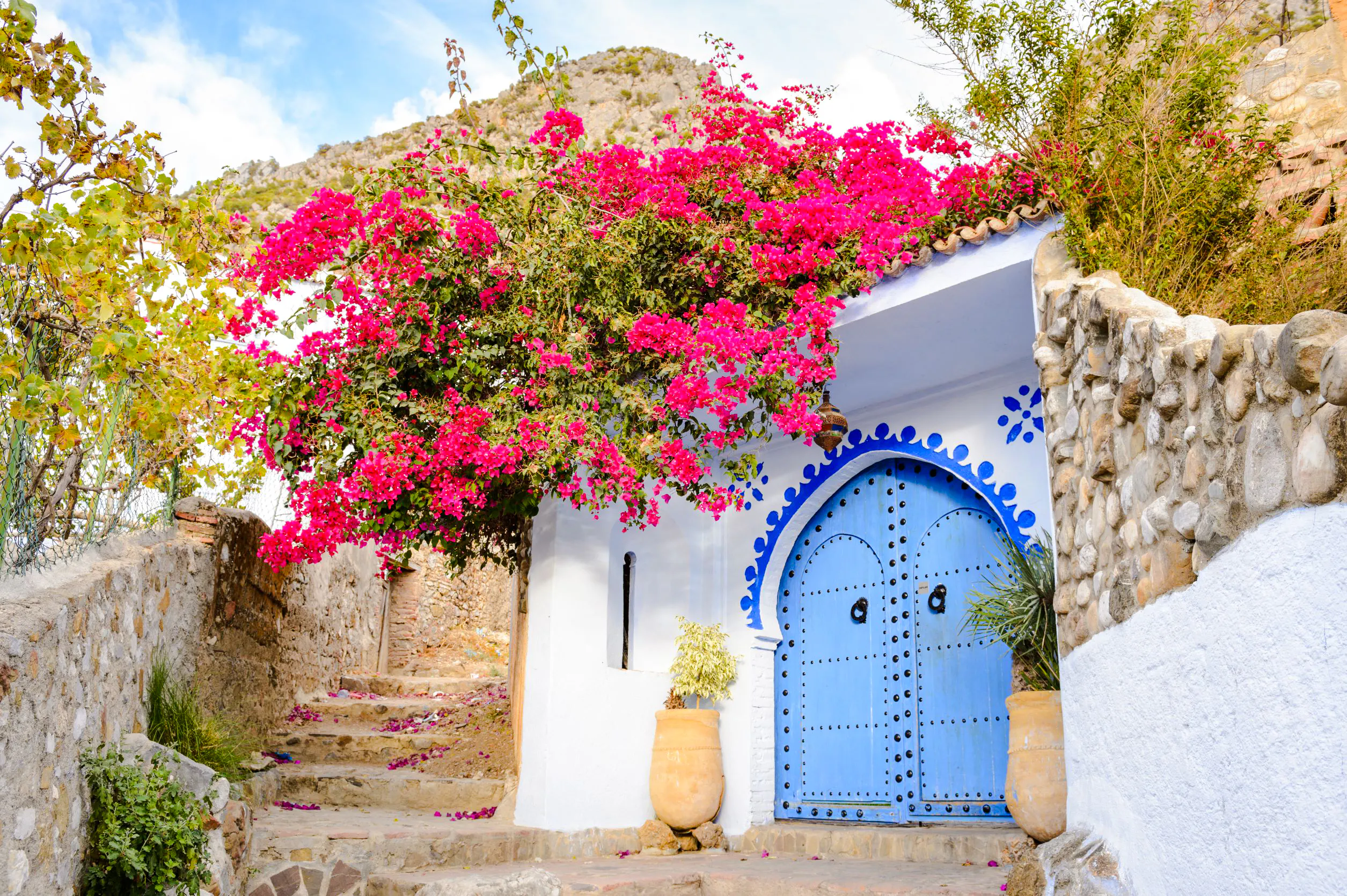 Blue door with pink bougainvillea in Chefchaouen, Morocco.