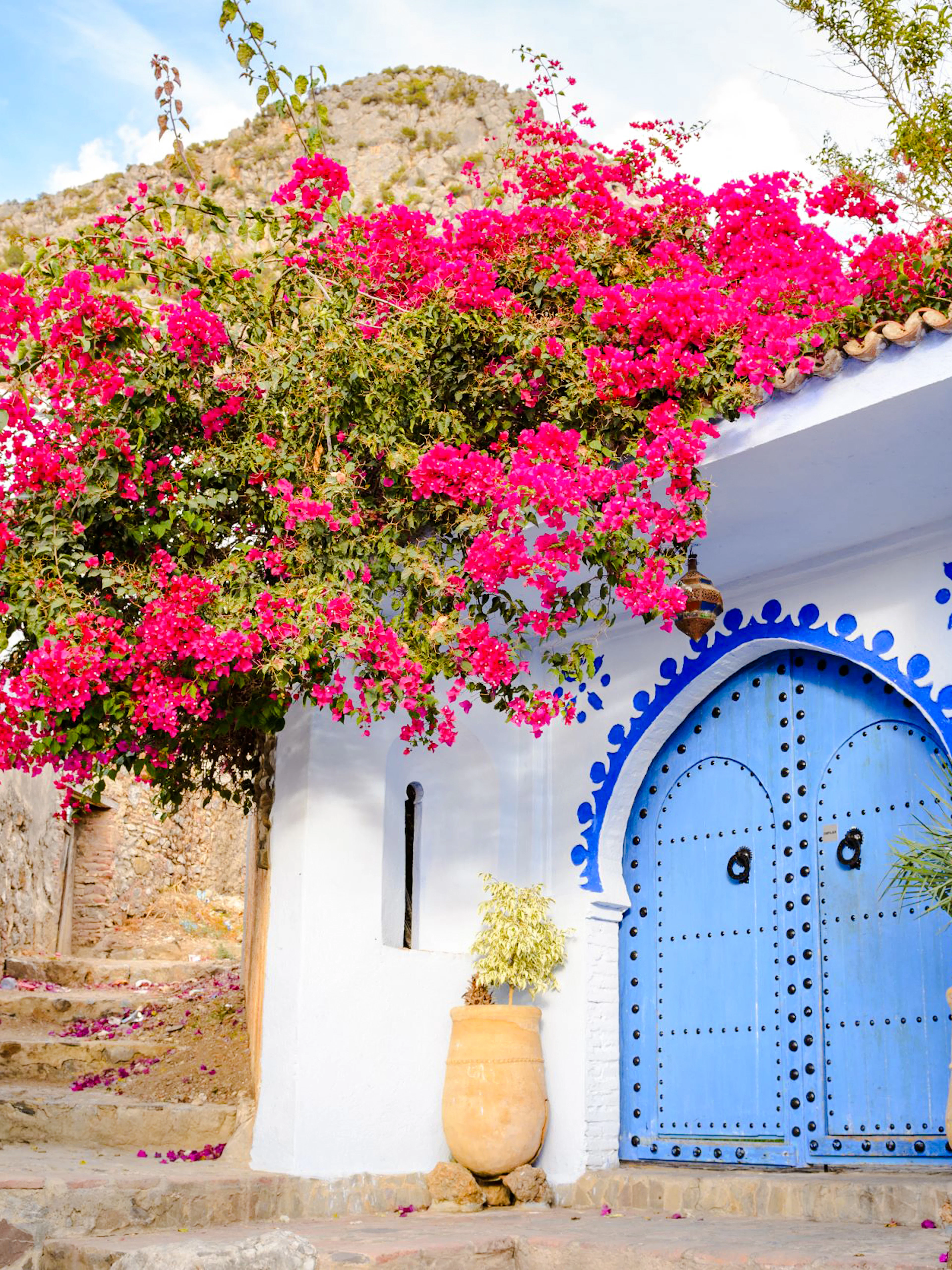 Blue door with pink bougainvillea in Chefchaouen, Morocco.