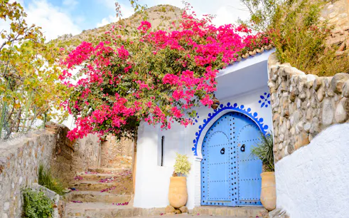 Blue door with pink bougainvillea in Chefchaouen, Morocco.