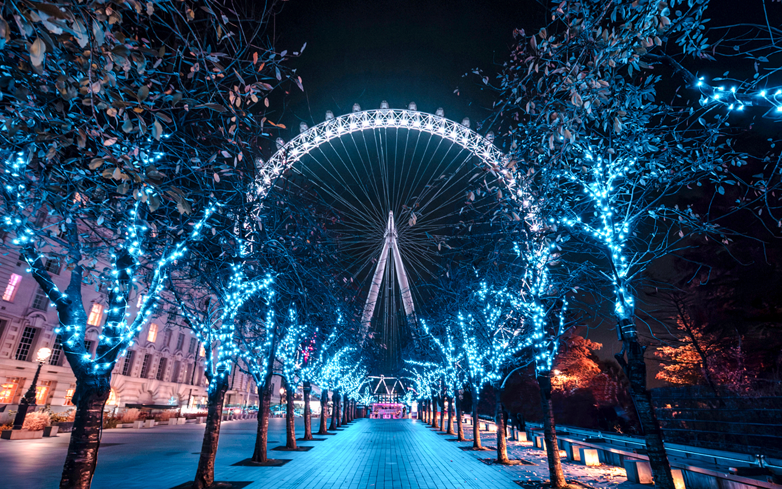 London Eye illuminated at night, viewed through a path of lit trees.