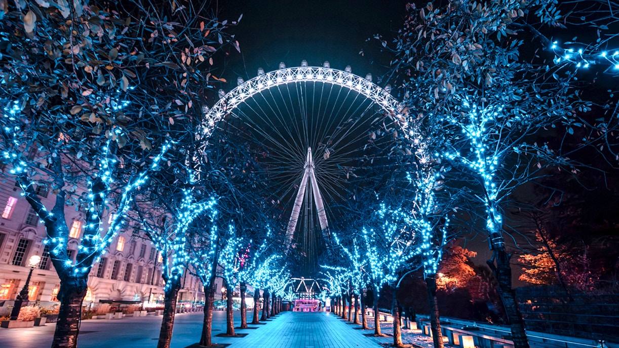 London Eye illuminated at night, viewed through a path of lit trees.