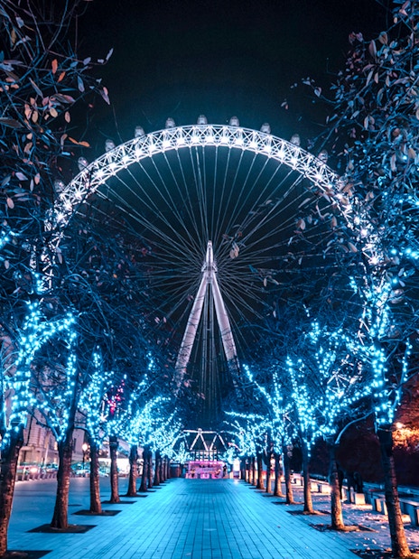 London Eye illuminated at night, viewed through a path of lit trees.