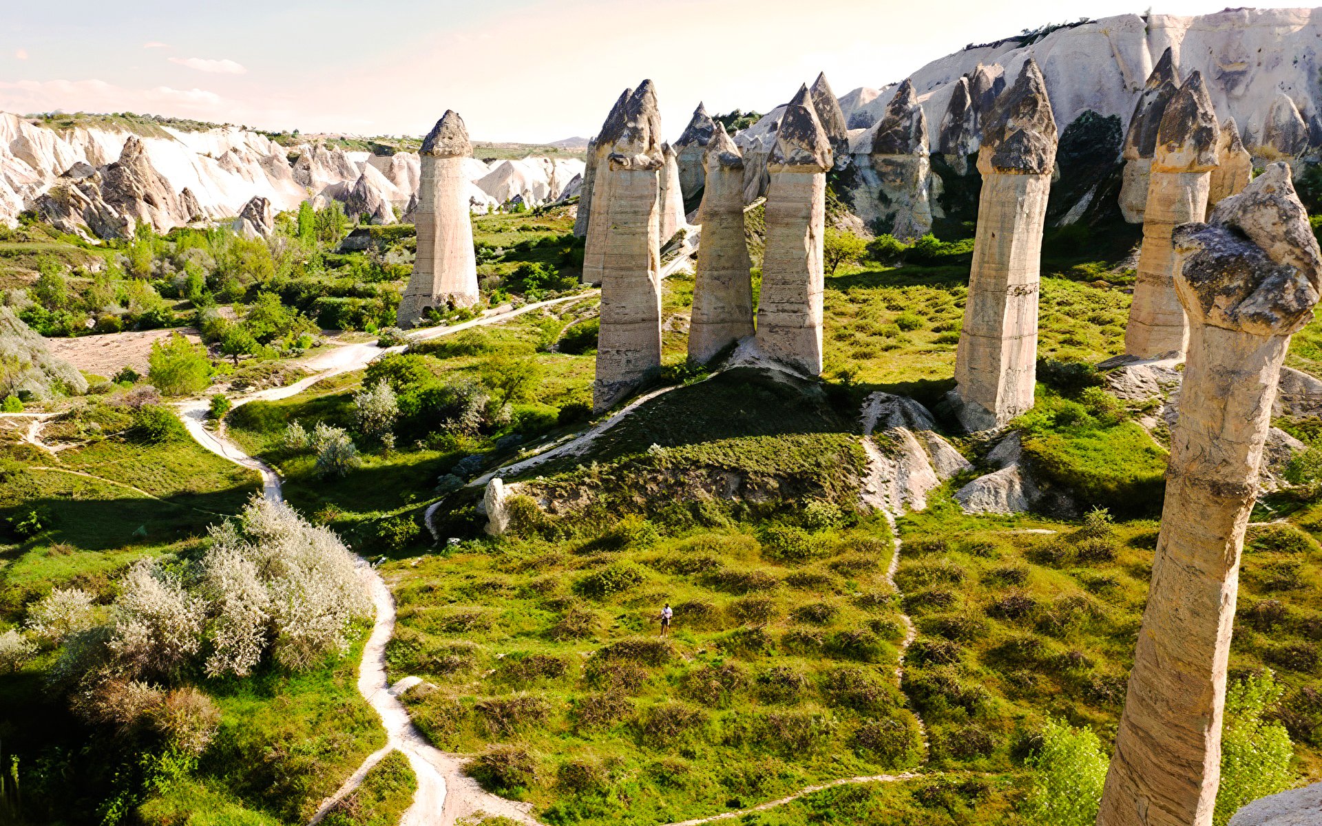 Rock formations in Love Valley, Cappadocia, with green landscape and winding paths.