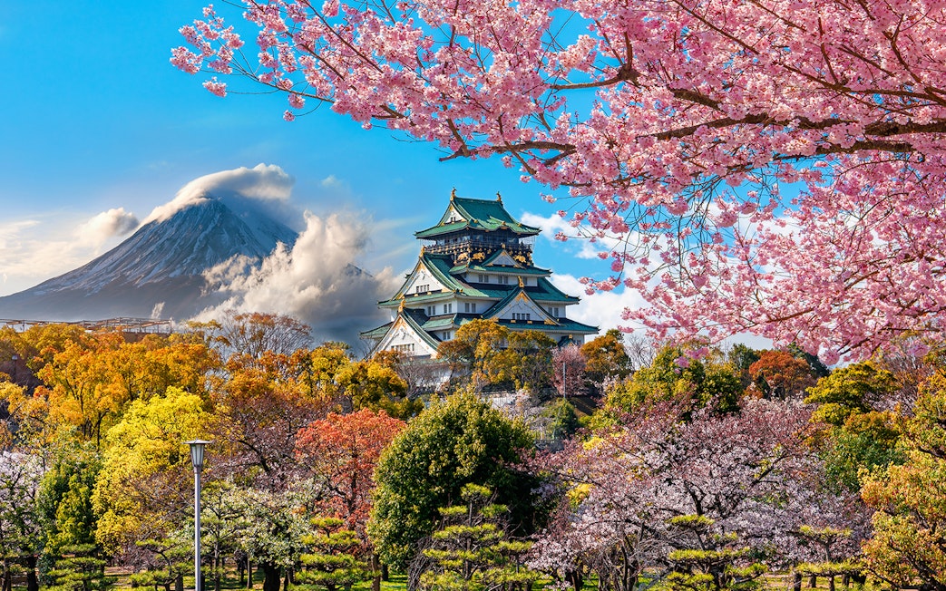 Osaka Castle with cherry blossoms and Mount Fuji in the background, Japan.