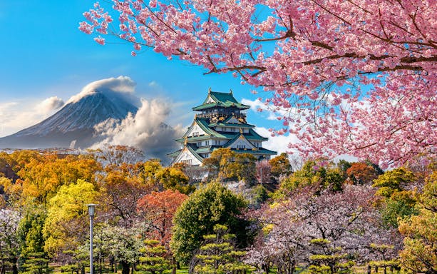 Osaka Castle with cherry blossoms and Mount Fuji in the background, Japan.