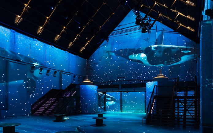 Orca projection at The Sea Exhibition, Fabrique des Lumières, with starry ocean theme.