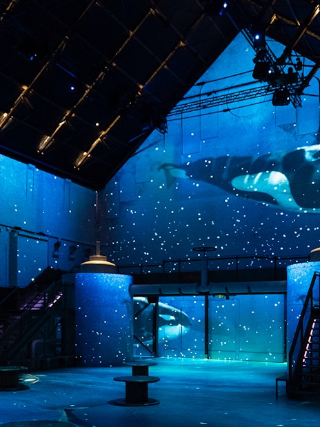 Orca projection at The Sea Exhibition, Fabrique des Lumières, with starry ocean theme.