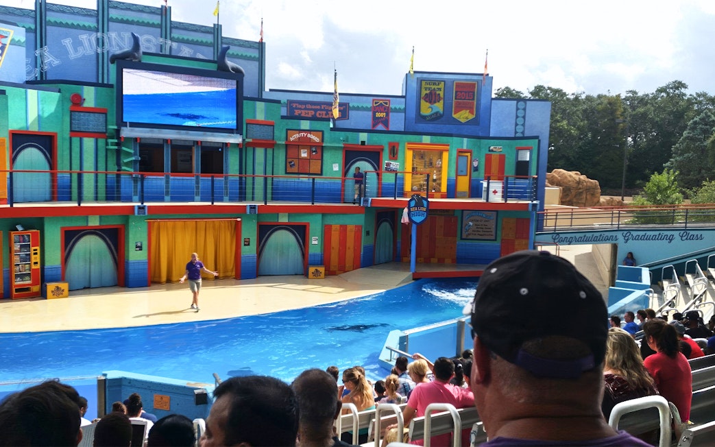 Guests watching a sea lion show at Aquatica San Antonio, Texas.