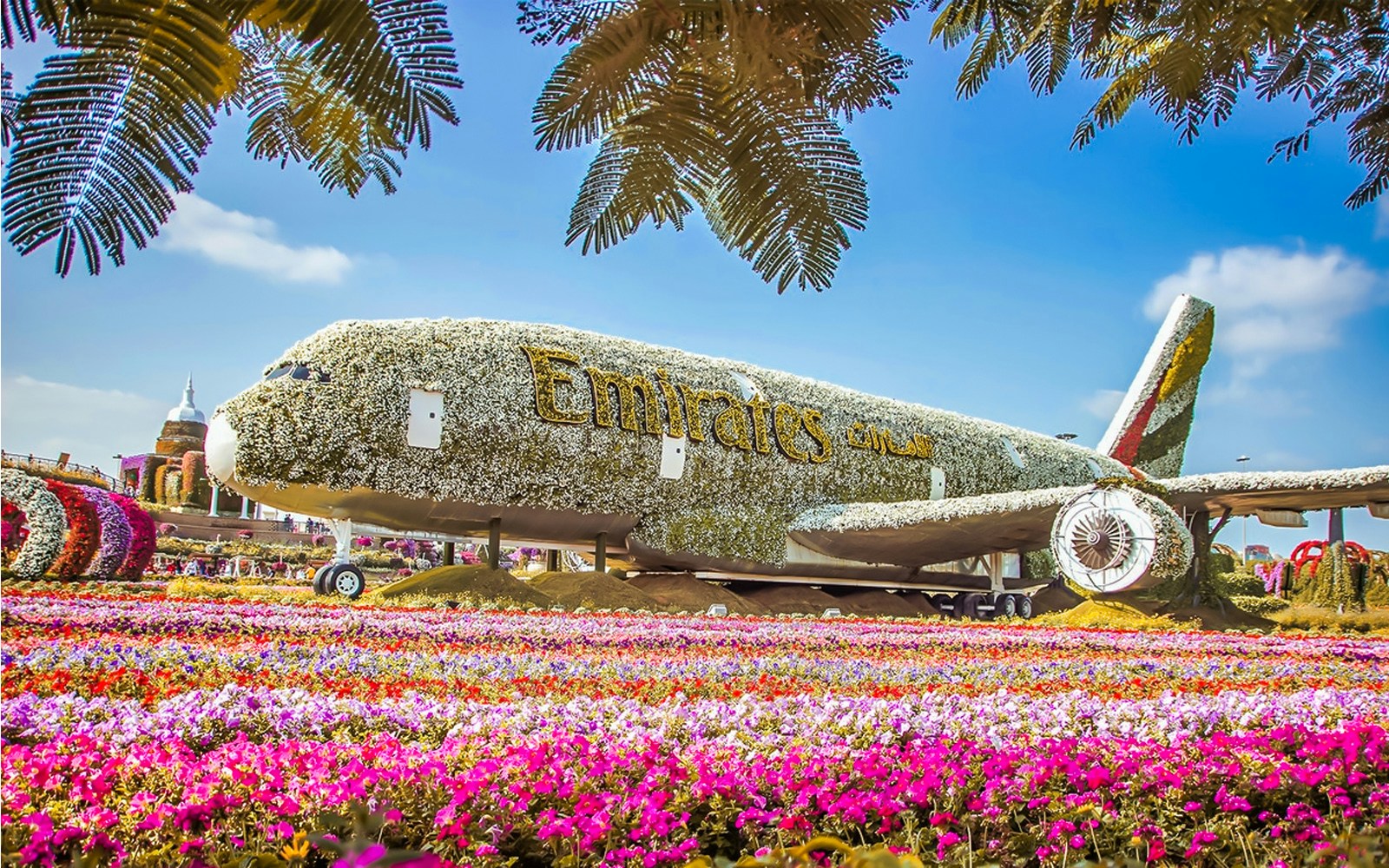 Emirates plane covered in flowers at Dubai Miracle Garden, surrounded by vibrant floral displays.