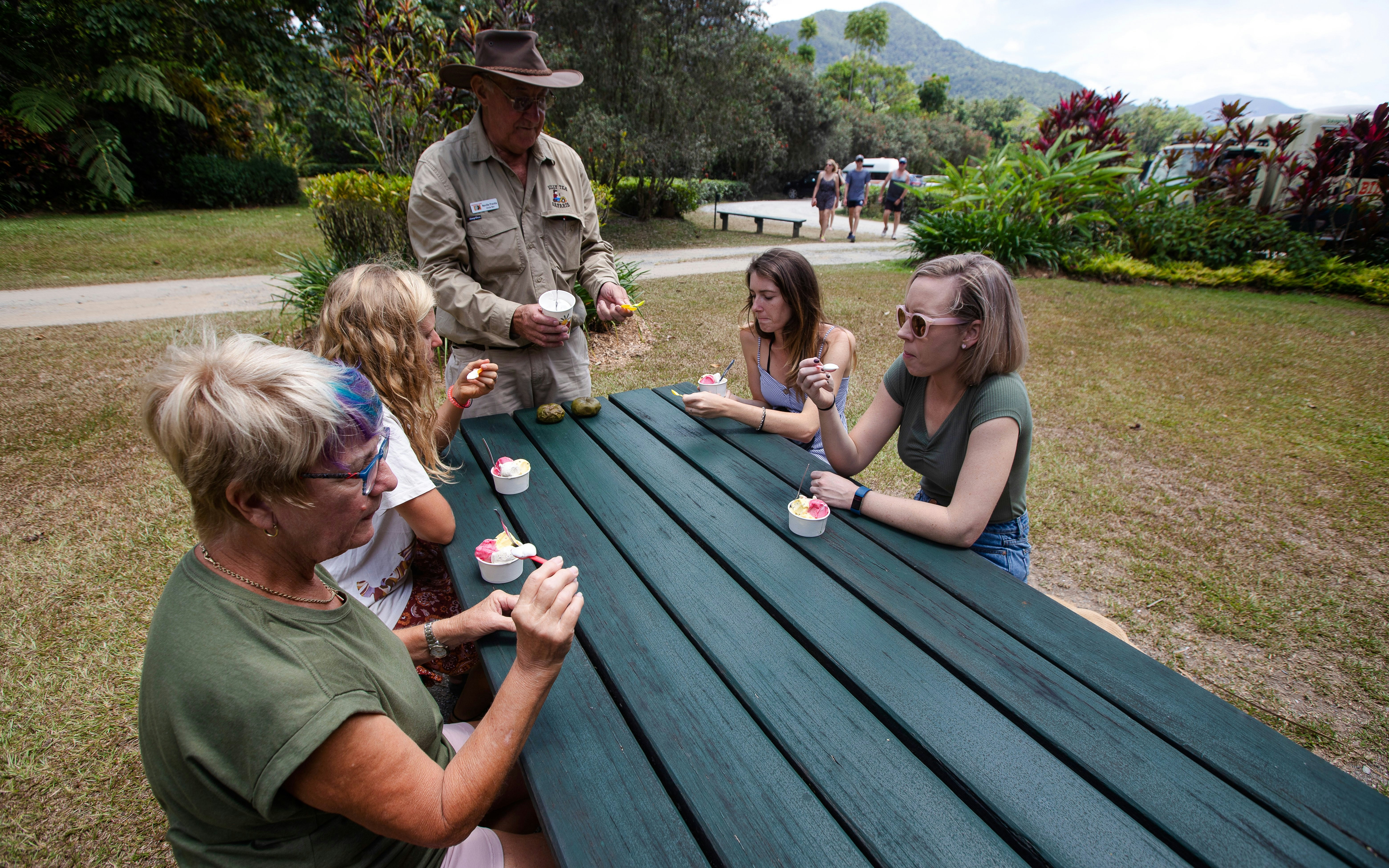 Tour group enjoying ice cream at a picnic table during Billy Tea Safaris in Daintree & Cape Tribulation.