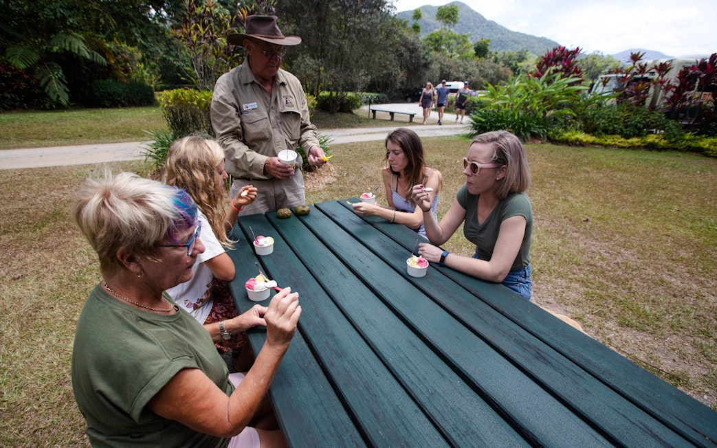 Tour group enjoying ice cream at a picnic table during Billy Tea Safaris in Daintree & Cape Tribulation.