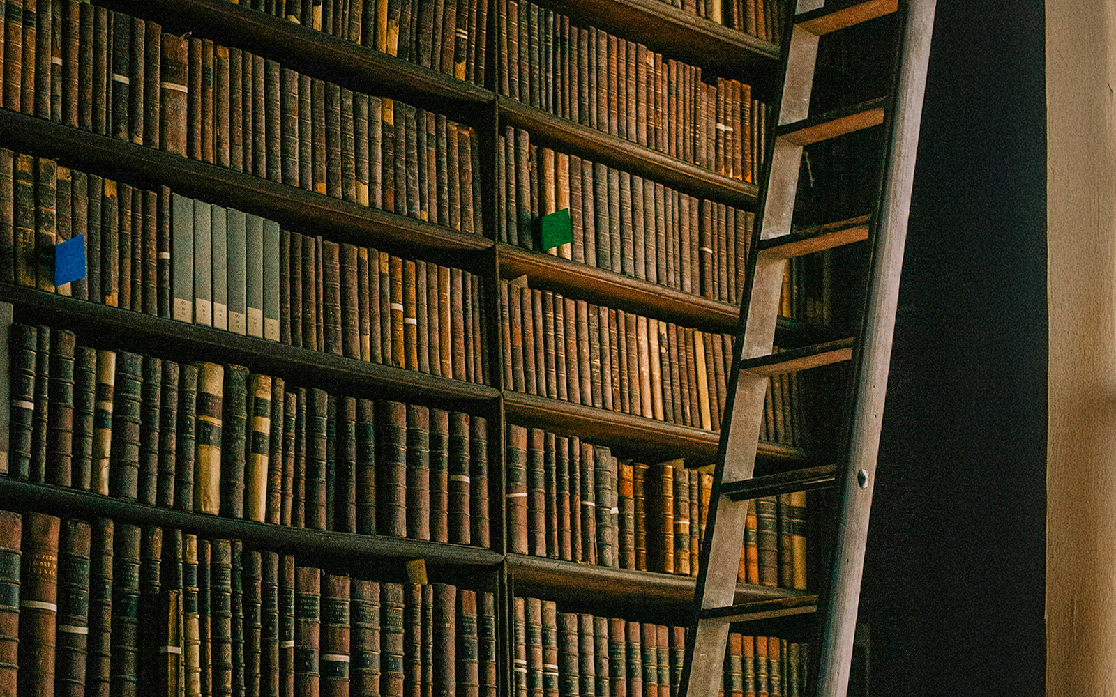 library full of books