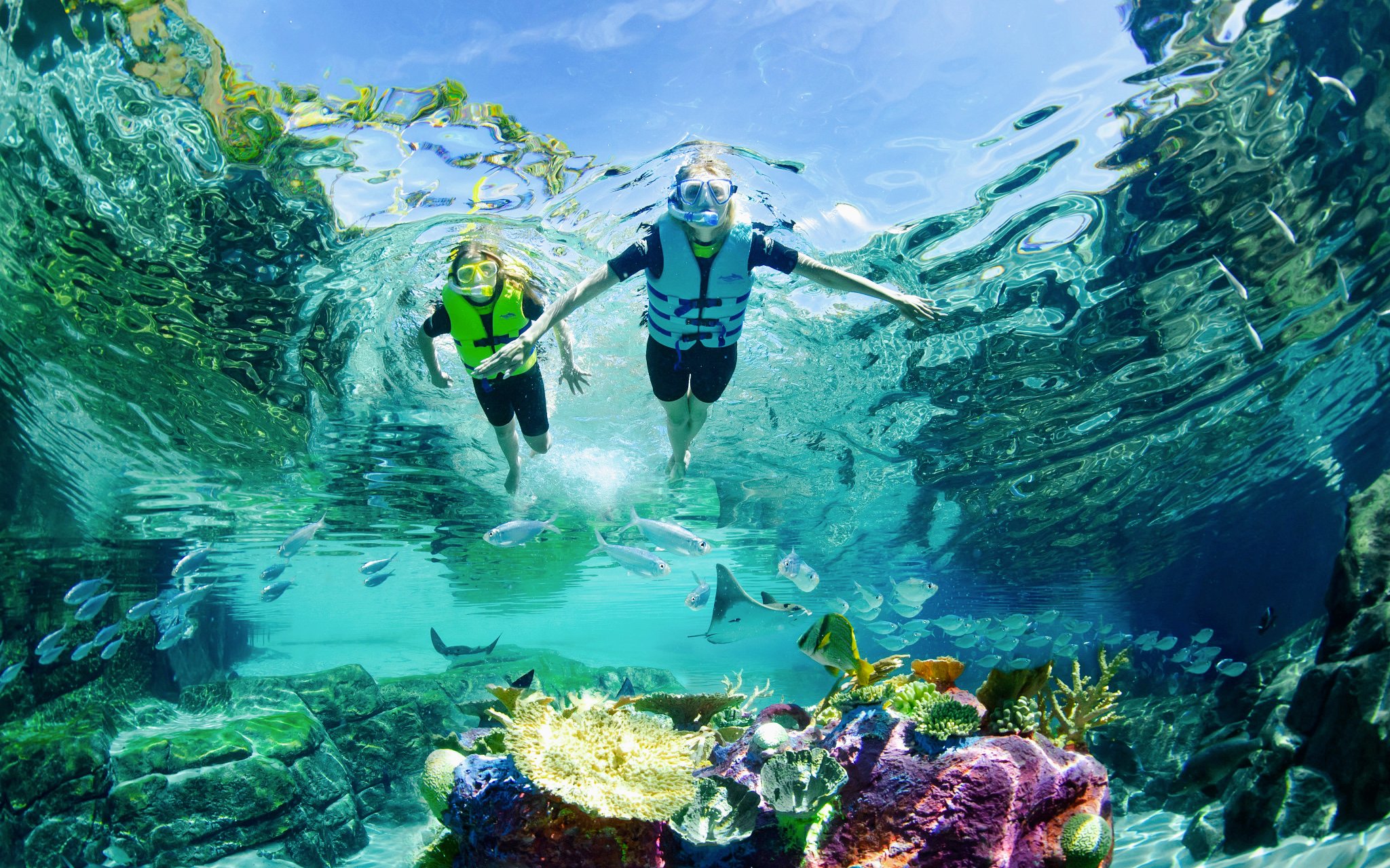Snorkelers exploring vibrant coral reef and fish at Discovery Cove Orlando.