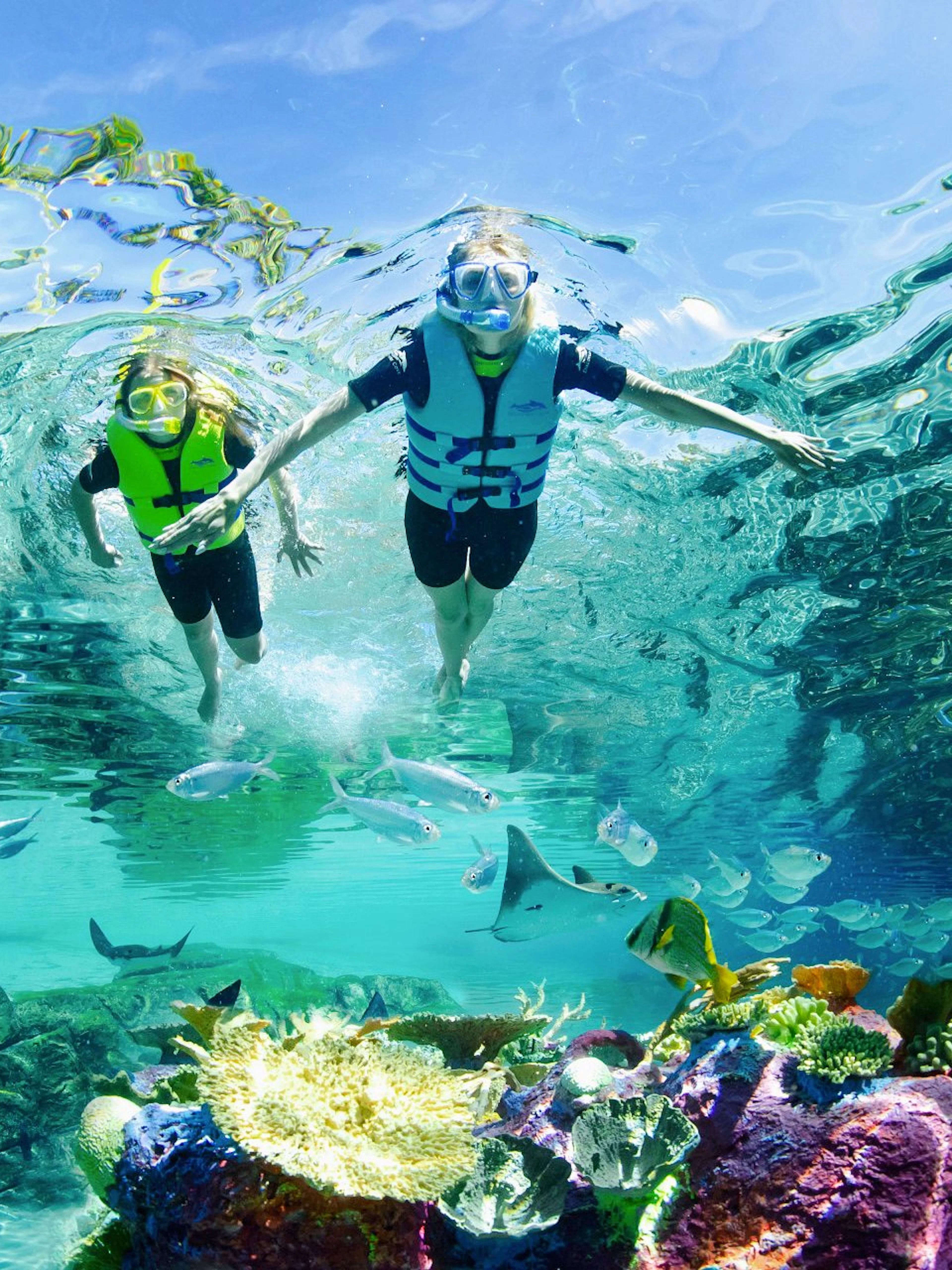 Snorkelers exploring vibrant coral reef and fish at Discovery Cove Orlando.