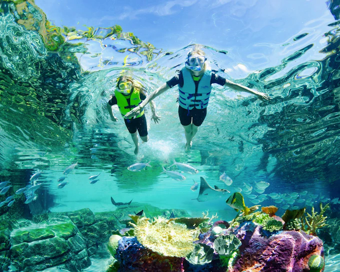 Discovery Cove Day Resort Tickets