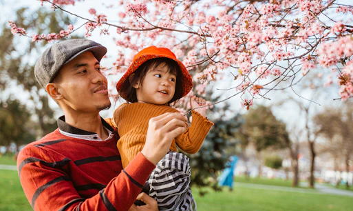 Cherry Blossom Tours