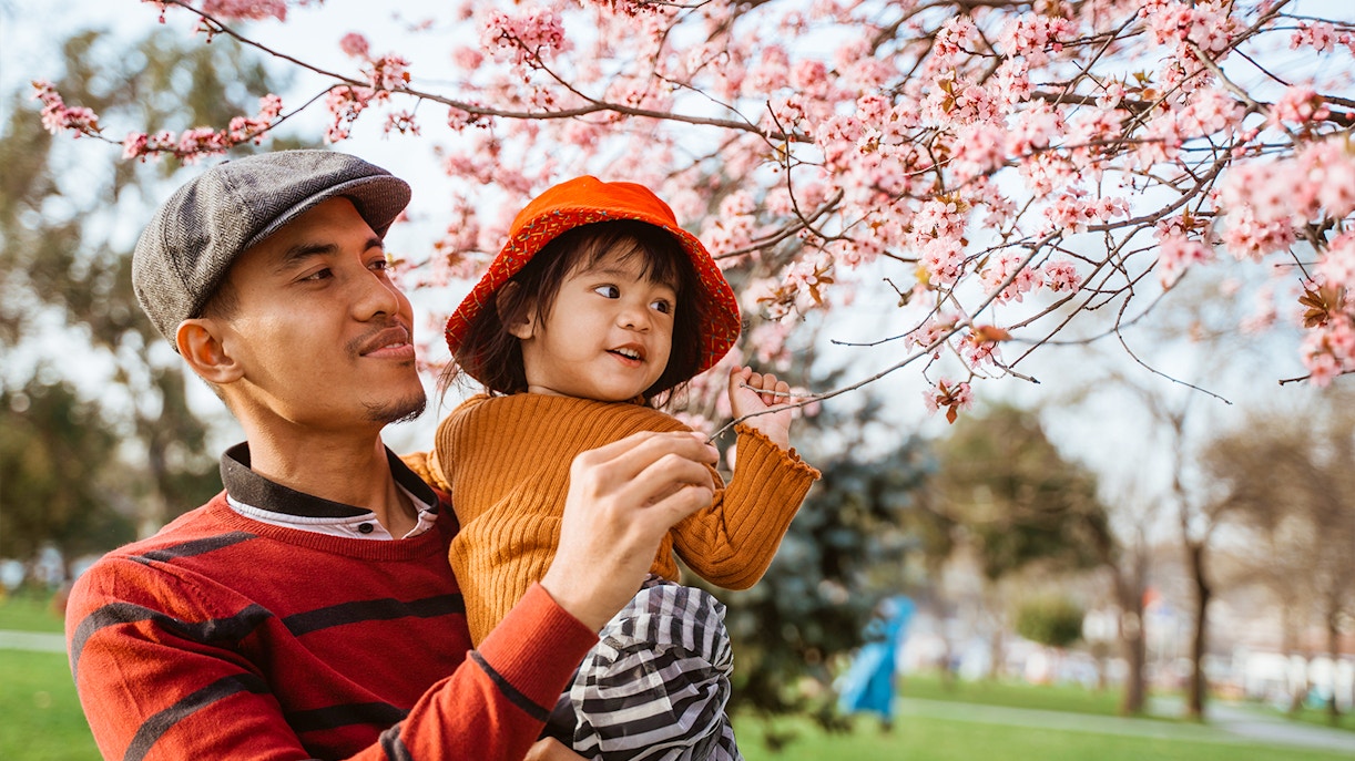 Father and child enjoying cherry blossoms in Kyoto park.