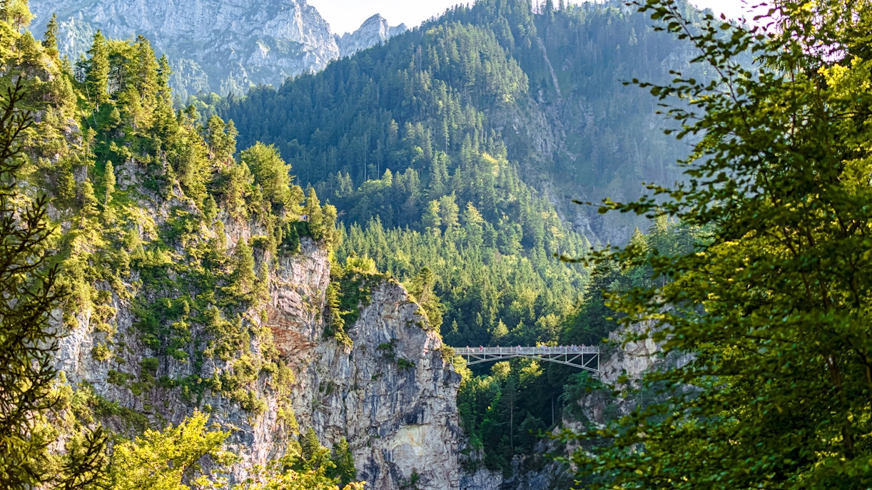 Marienbrücke bridge spanning a forested gorge in the Bavarian Alps.