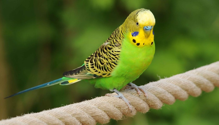 zoo leipzig