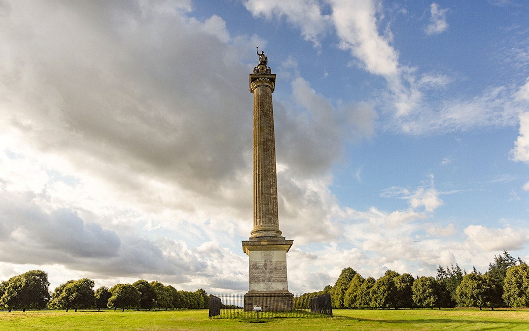 Column of Victory in Parkland at Blenheim, surrounded by trees and open sky.