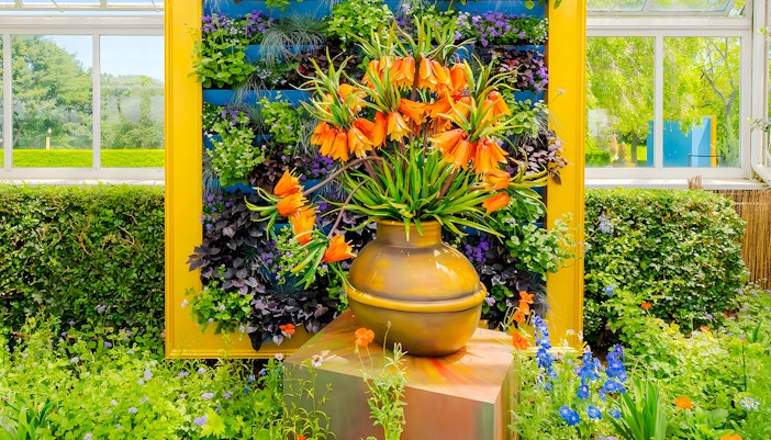 Pizza Margherita on a food tour in Milan, Italy.