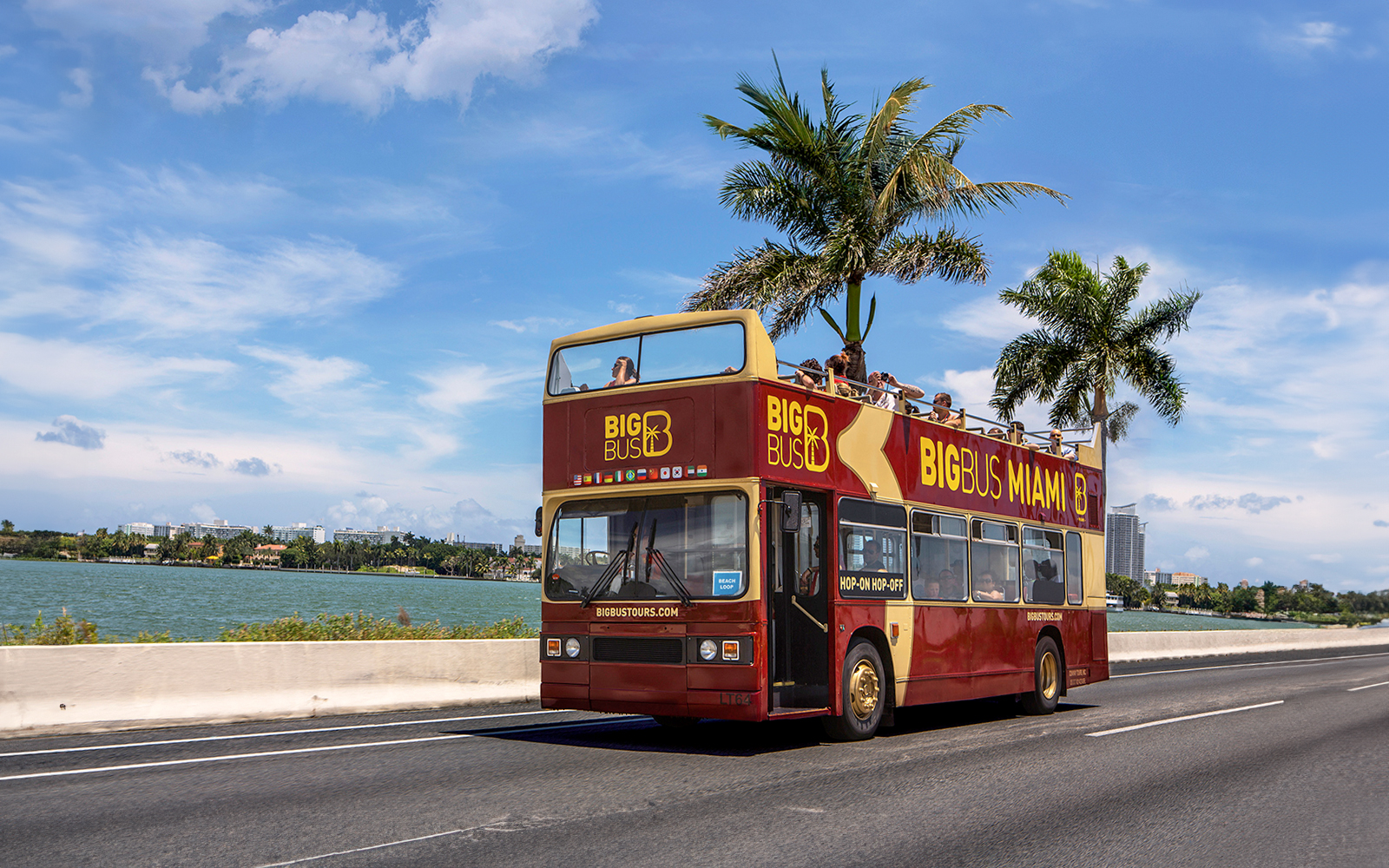 Miami double-decker bus tour along waterfront with palm trees and city skyline.