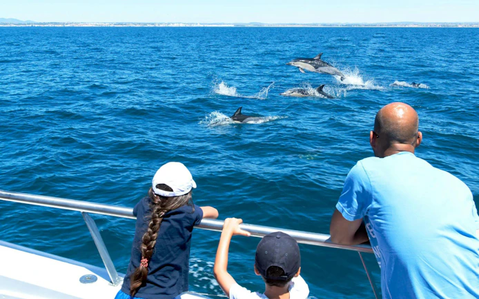 Tourists watching dolphins from a catamaran near Benagil Caves.