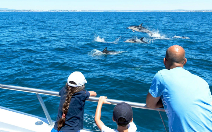 Tourists watching dolphins from a catamaran near Benagil Caves.