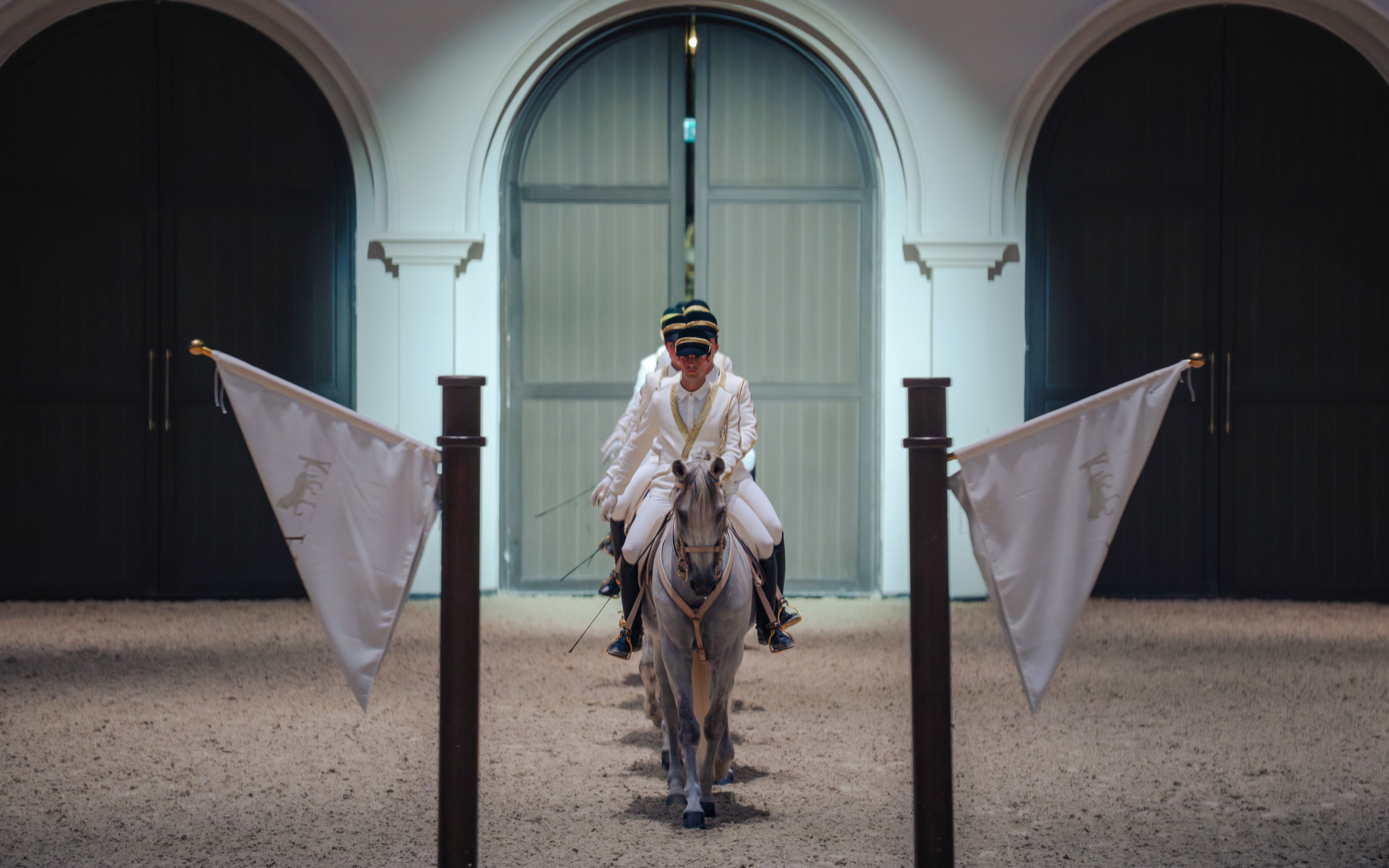 Equestrian performer riding a horse at Abu Dhabi Royal Equestrian Arts show.
