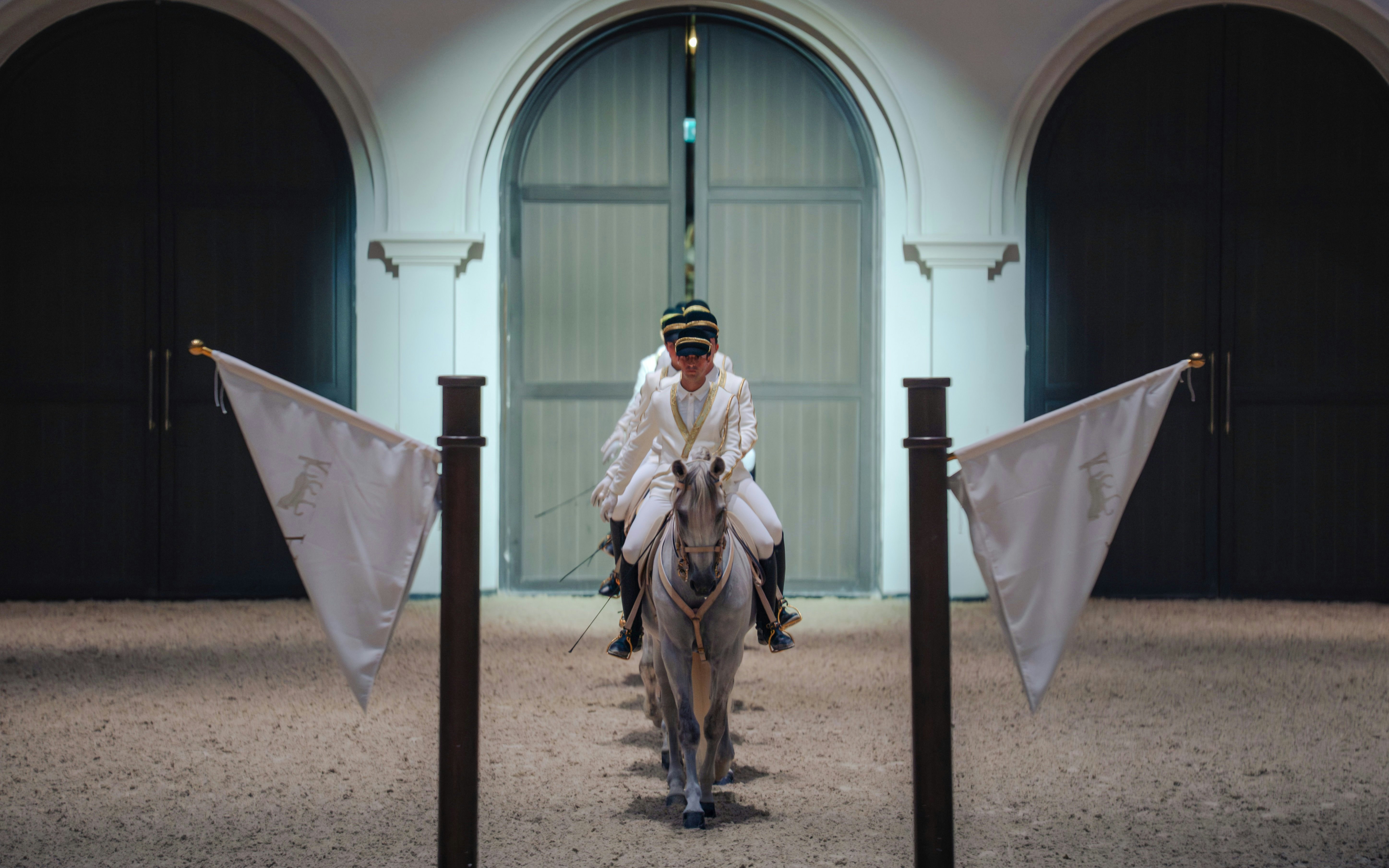 Equestrian performer riding a horse at Abu Dhabi Royal Equestrian Arts show.