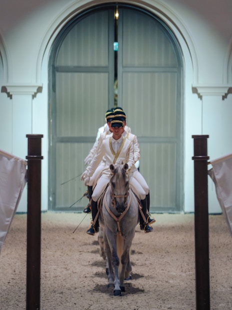 Equestrian performer riding a horse at Abu Dhabi Royal Equestrian Arts show.