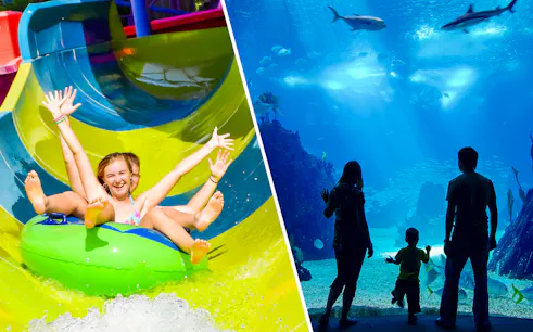 Water slide at Illa Fantasia and family viewing marine life at Barcelona Aquarium.