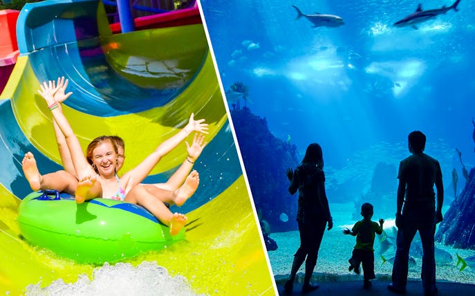 Water slide at Illa Fantasia and family viewing marine life at Barcelona Aquarium.